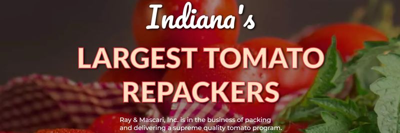 Ray & Mascari, Inc. - supplier and manufacturer from United States