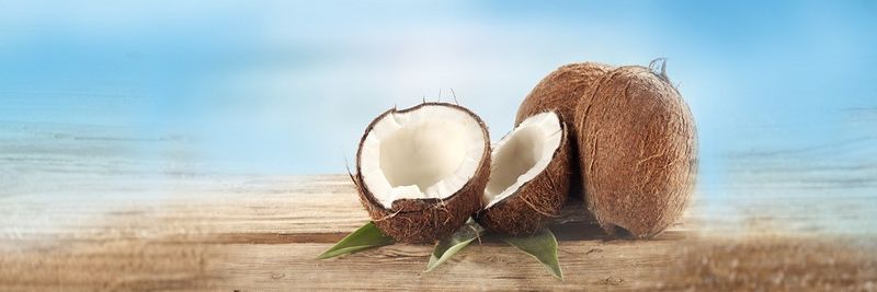 Oriental Golden Coco, Inc. - supplier and manufacturer from 필리핀