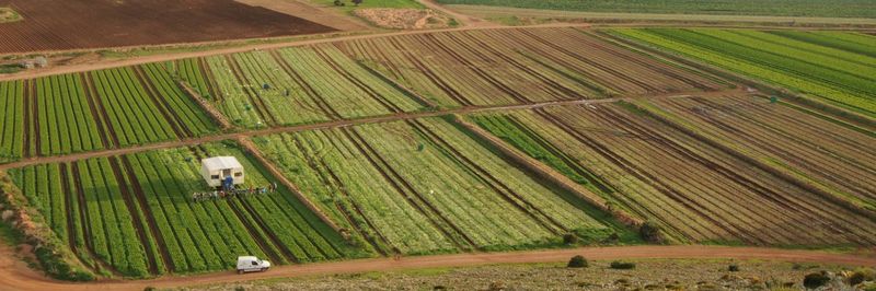 KERNEL EXPORT, S.L. - supplier and manufacturer from Spain