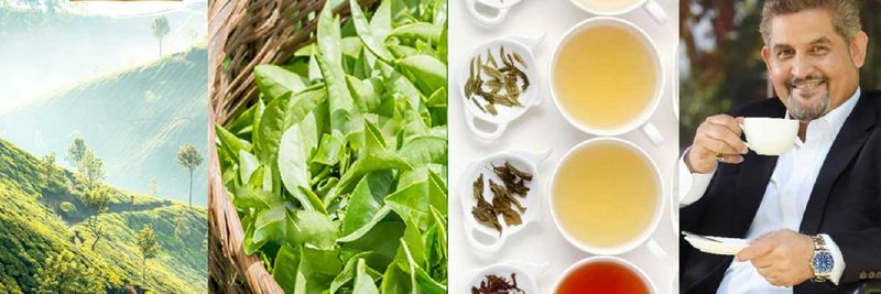 Anverally and Sons Ltd. - supplier and manufacturer from 스리랑카