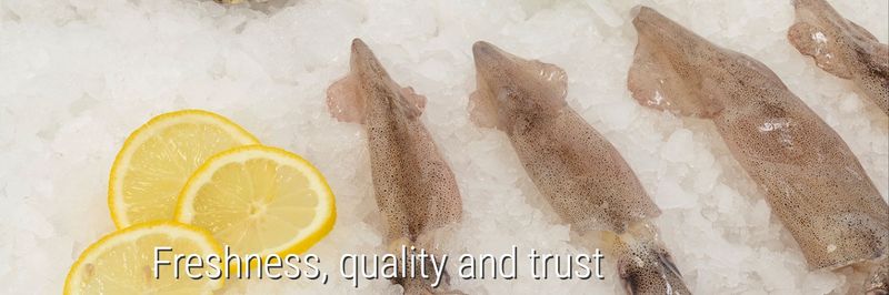 Nores Marin Comercial SL - supplier and manufacturer from 스페인