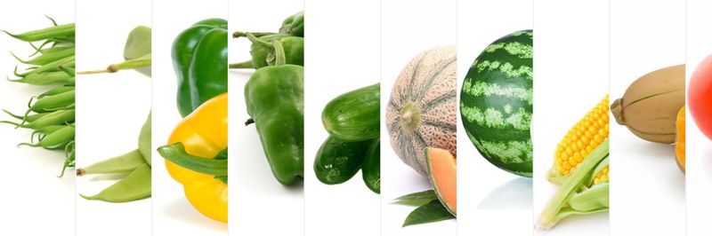 AGRUPA MARCA - supplier and manufacturer from 모로코