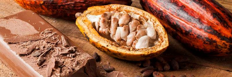 GOURMET GARDENS LTD. - supplier and manufacturer from Uganda