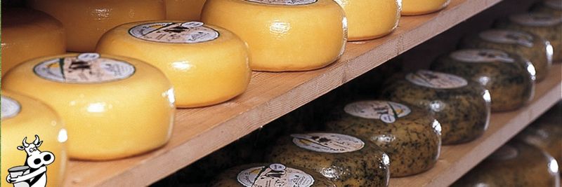 THOMASHOF BURSCHEID - supplier and manufacturer from 독일