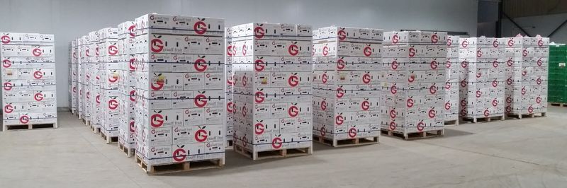 Graaff Fruit - supplier and manufacturer from 남아프리카공화국