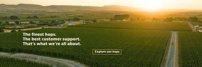 SPOT HOPS - supplier and manufacturer from United States
