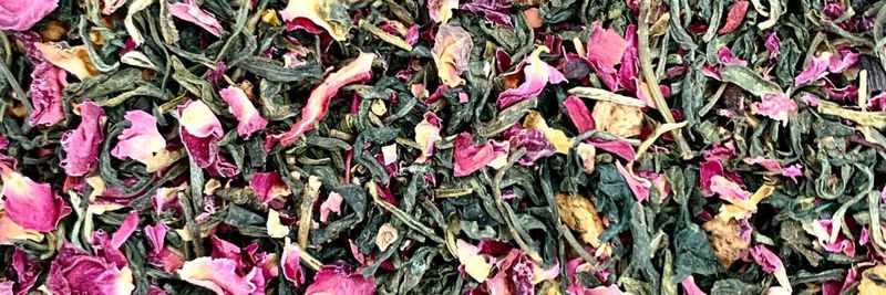 Cha-yi Tea House - supplier and manufacturer from 캐나다