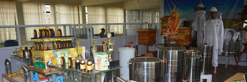 The Hive Limited | Uganda - supplier and manufacturer from 우간다