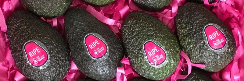 The Avocado Company - supplier and manufacturer from United Kingdom