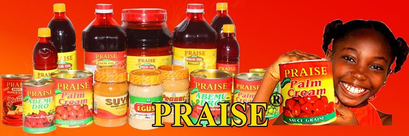 PRAISE EXPORT SERVICES LIMITED - supplier and manufacturer from Ghana