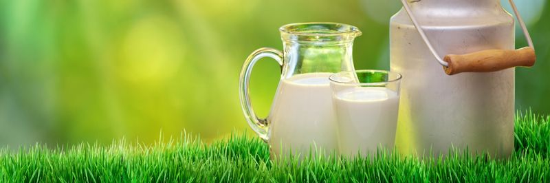 EPI Ingredients - supplier and manufacturer from France