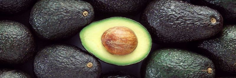 Urapa Produce LLC - supplier and manufacturer from United States
