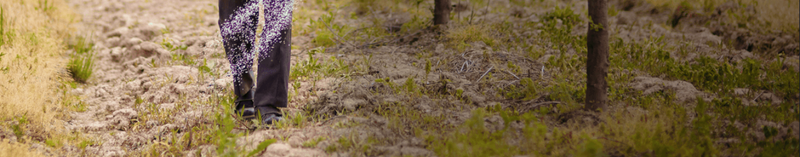 Land Growers Chile - supplier and manufacturer from Chile