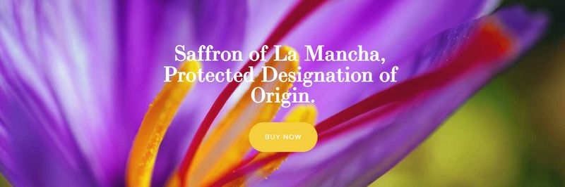Azafran Desbrin - supplier and manufacturer from Spain