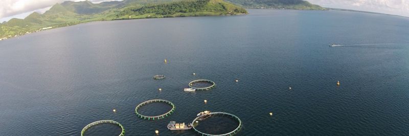 Ferme Marine de Mahebourg Ltd - supplier and manufacturer from 모리셔스