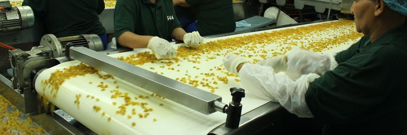 The Raisin Company - supplier and manufacturer from 남아프리카공화국