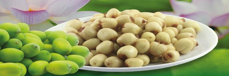Huynh De Te Hung Food Processing Company Limited (TEHUCO) - supplier and manufacturer from Vietnam