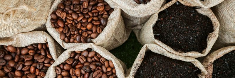 CAFES BIBAL TORREFACTEUR - supplier and manufacturer from 프랑스