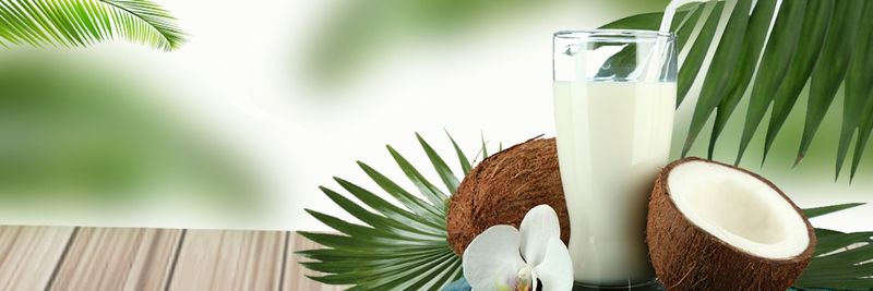 GOGOCO HOLDING SDN BHD - supplier and manufacturer from 말레이시아