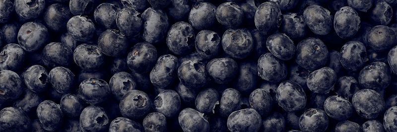 Berryworld SA - supplier and manufacturer from South Africa