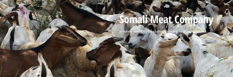 Somali Meat Company (SOMEAT) - supplier and manufacturer from Somalia