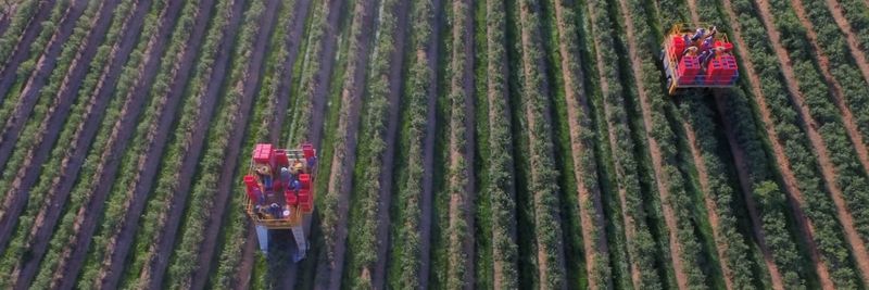 Columbia Fruit, LLC - supplier and manufacturer from 미국