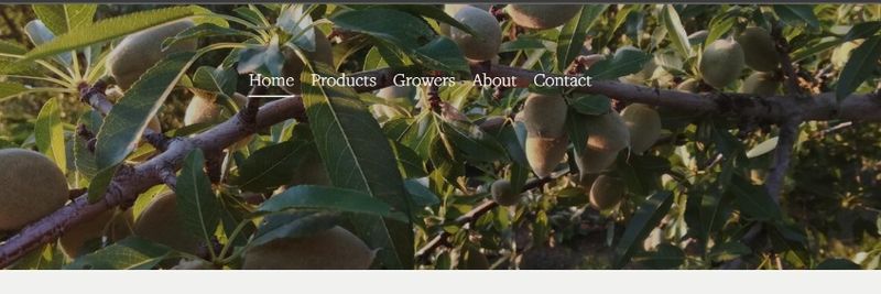 T. M. Duche Nut Co - supplier and manufacturer from 미국