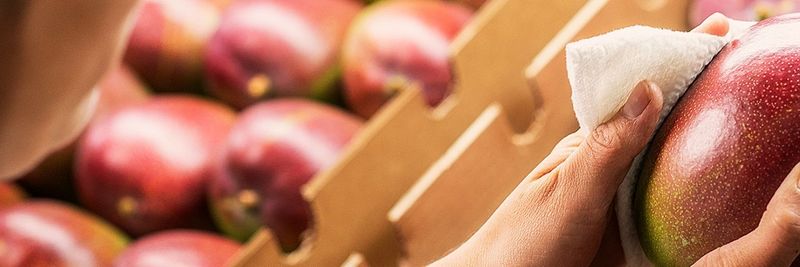 Pachamama Farms S.A.C. - supplier and manufacturer from Peru