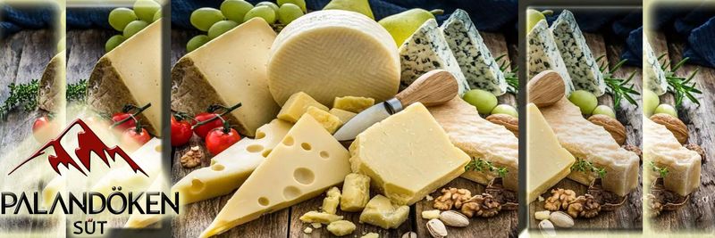 Palandoken Dairy Products - supplier and manufacturer from 튀르키예
