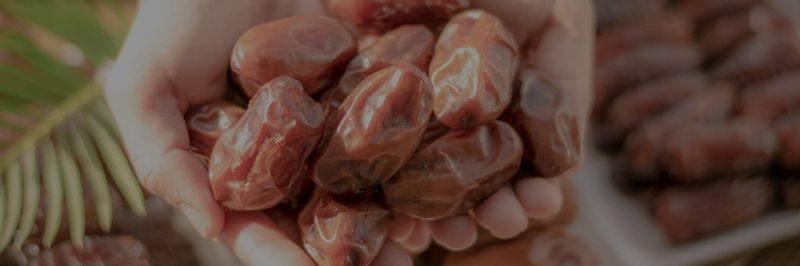 Oasis Dates Trading LLC - supplier and manufacturer from 아랍 에미리트 연합국