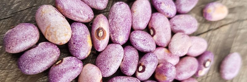Crop Bioscience Solutions Ltd - supplier and manufacturer from Tanzania