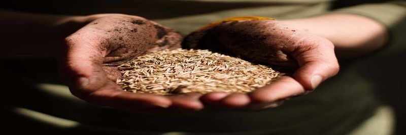 Foodcircle - supplier and manufacturer from Germany