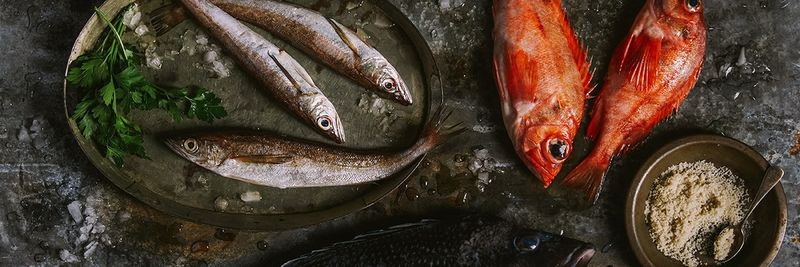 Foley Fish - supplier and manufacturer from United States