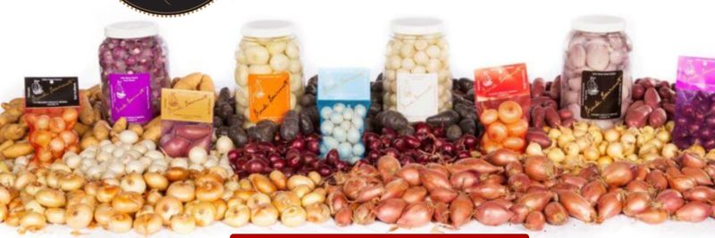 Gourmet Specialty Imports - supplier and manufacturer from United States