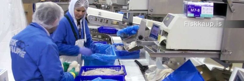 Fiskkaup Ltd - supplier and manufacturer from 아이슬란드