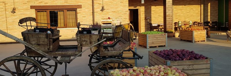 SINFRUTTA SRL - supplier and manufacturer from Romania