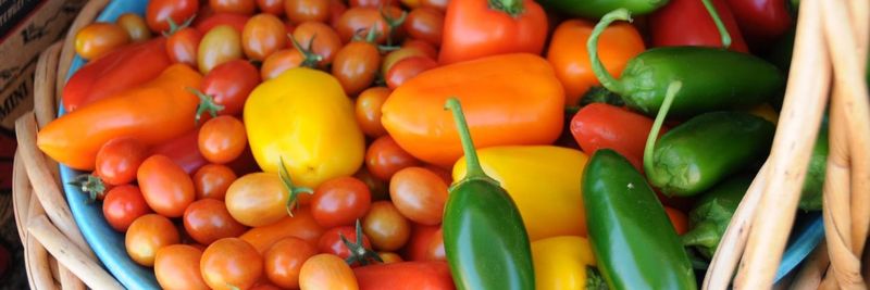 Wilson Produce - supplier and manufacturer from 미국