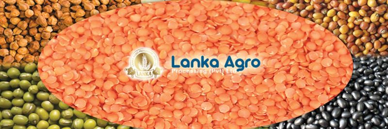 Lanka Agro Processing (Pvt) Ltd - supplier and manufacturer from 스리랑카