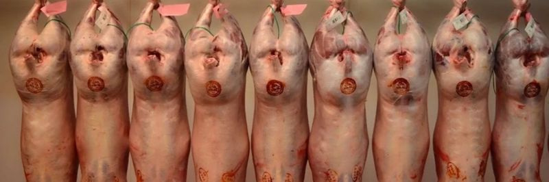 Birmingham Halal Abattoir Limited - supplier and manufacturer from 영국
