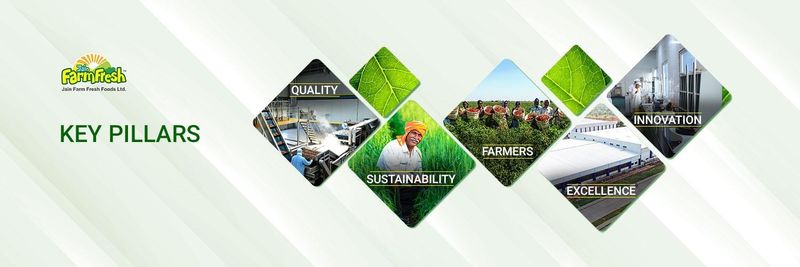 Jain Farm Fresh Foods Ltd. - Verified supplier and manufacturer from 인도