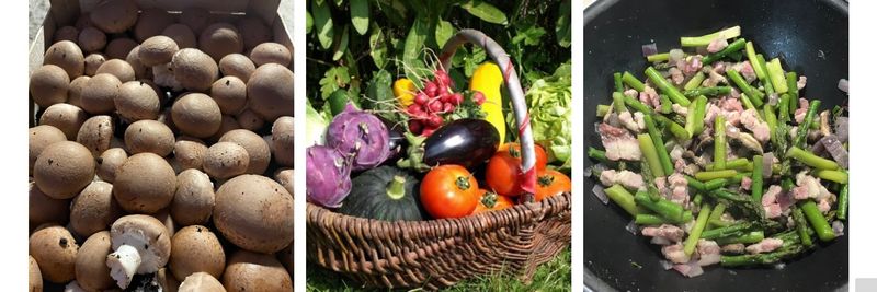 FERME DE LA CACHETERIE - supplier and manufacturer from 프랑스