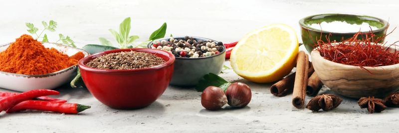 Gusto GmbH & Co. KG - supplier and manufacturer from Germany