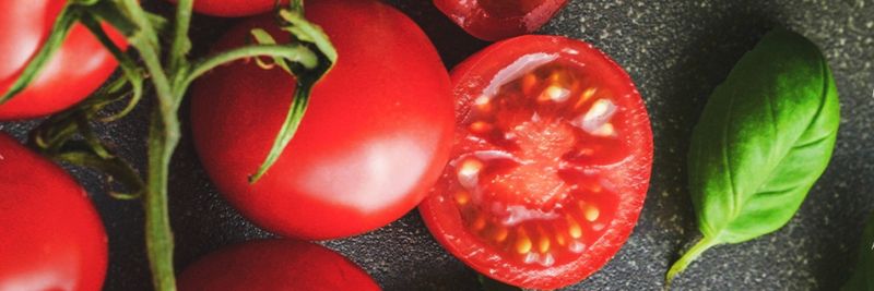 Queenlike Tomato Co., Ltd - supplier and manufacturer from 중국