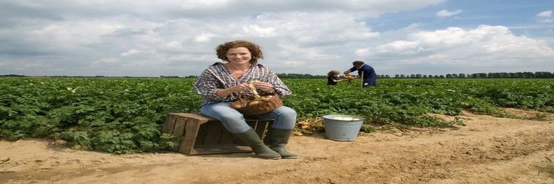 Schaap Holland - supplier and manufacturer from 네덜란드