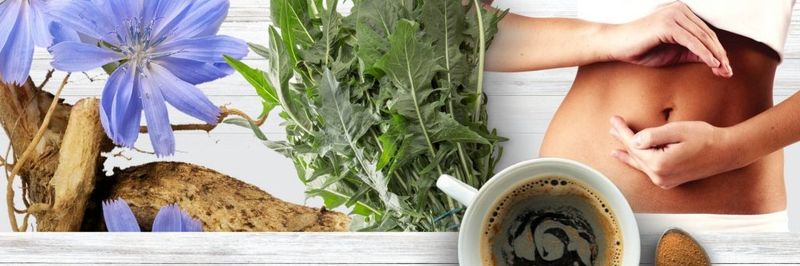 Chicory SA Limited - supplier and manufacturer from 남아프리카공화국