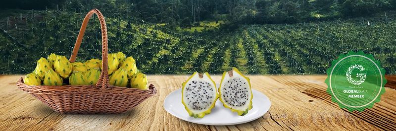 FRUTAS NANKY - supplier and manufacturer from 에콰도르