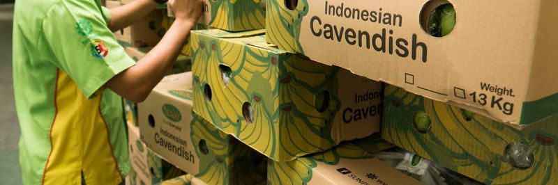 PT Sewu Segar Nusantara - supplier and manufacturer from 인도네시아