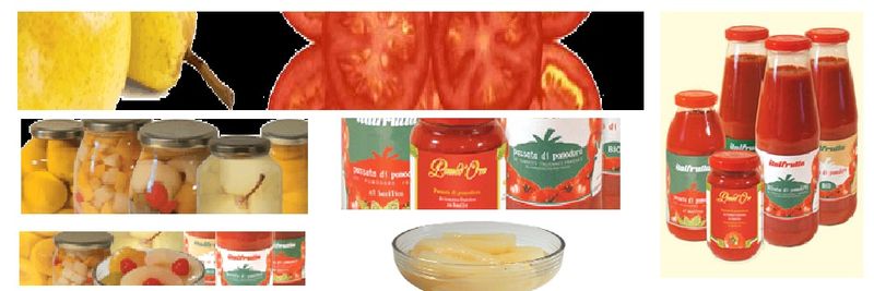 Italfrutta srl - supplier and manufacturer from 이탈리아