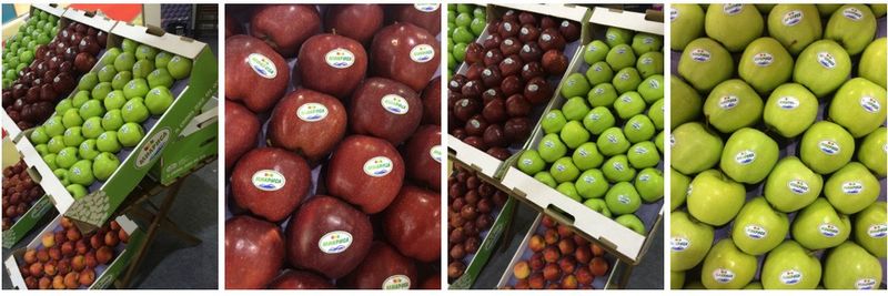 Fruit-Trade LLC - supplier and manufacturer from Russia