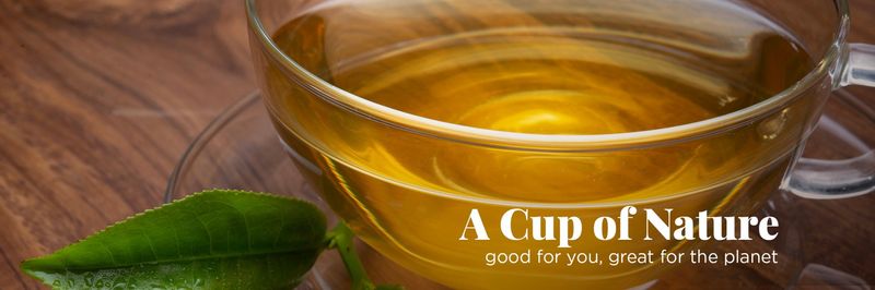 Dilmah Ceylon Tea Company - supplier and manufacturer from 스리랑카